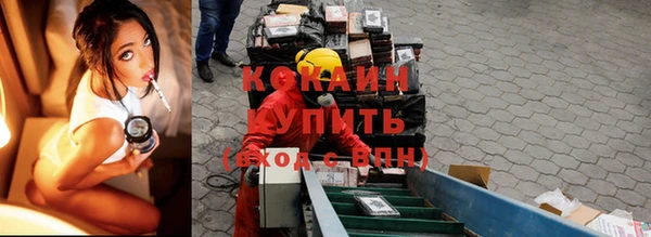 spice Алзамай
